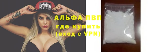 индика Горнозаводск